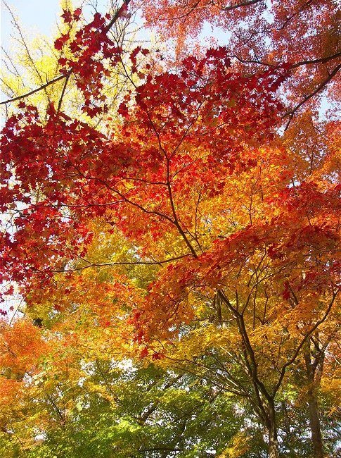 �����́A�g�t�^������I(^_^)v