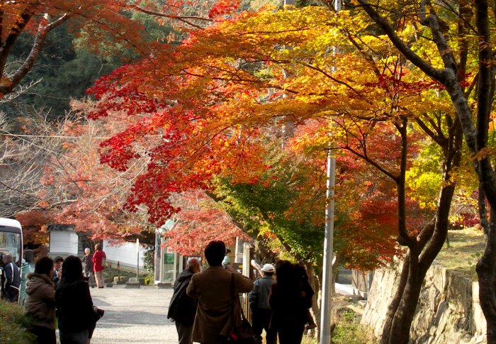 �B�e�͂P�P���Q�R���i���j�A�j���ł��Q���g�t���̐l�X�œ�����Ă��܂����B