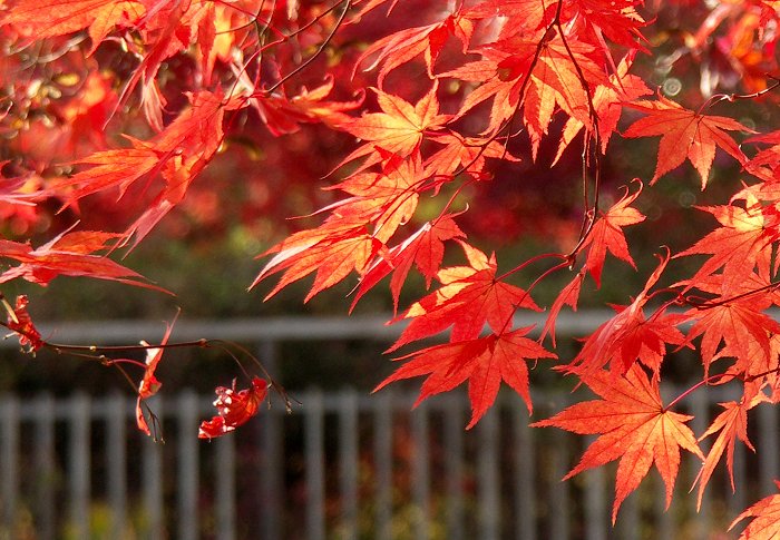 �}�C�X�|�b�g����E�E�E�E�E