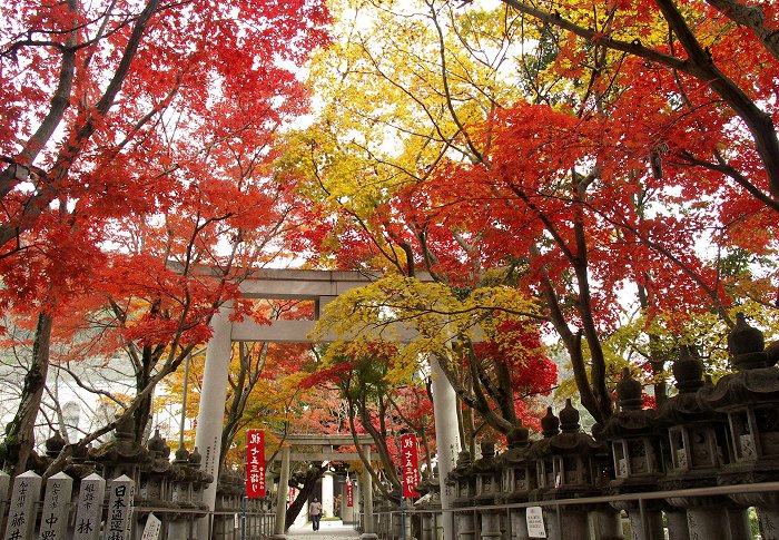 �B�e�͂P�P���Q�U���i���j�A�E�C�N�f�[�̂��߂��Â��ȋ����ł����B