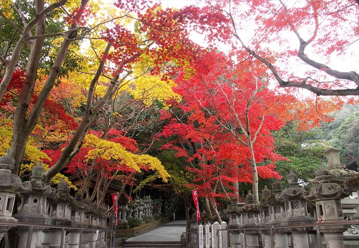 �{�a�Ɍ������Q������E�E�E�E