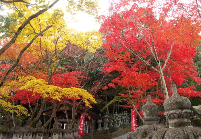 �ԂƉ��̍��݂����g�t��������������܂����B