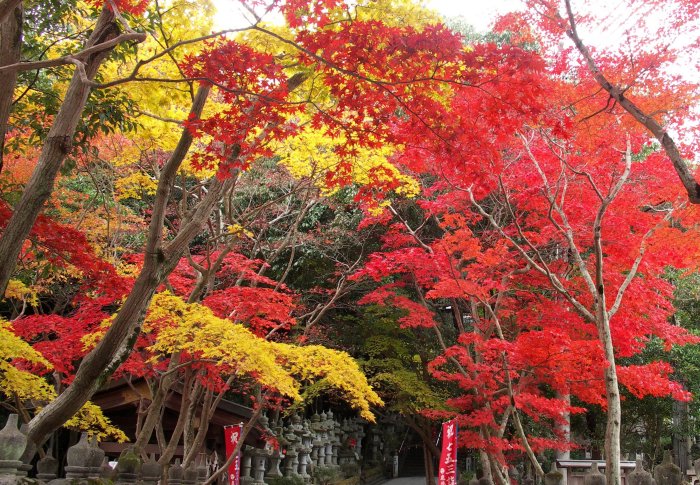 �����A�Y�[���ň������������߂ł��B