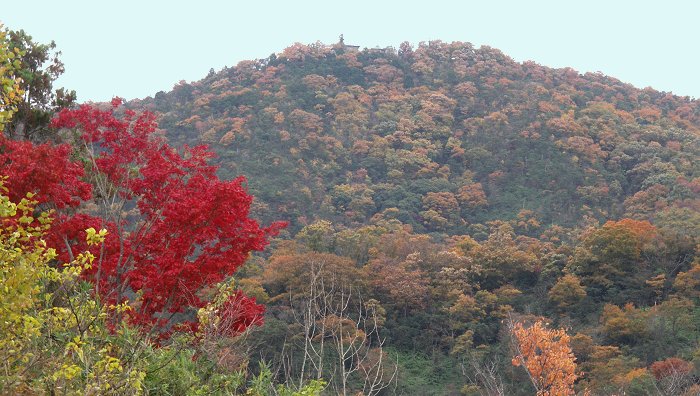 2007�H�u�g�t�v�A�g�b�v�͂g�f����ʎR�̍g�t�ł��B