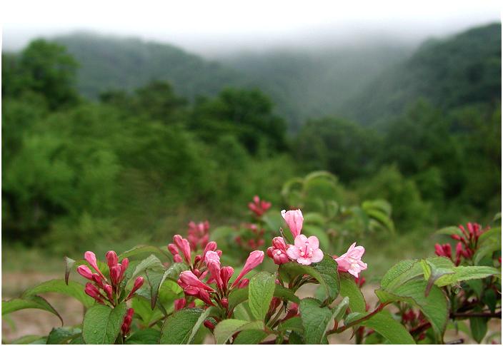 ��������̓u�i�т̒�������܂��B�ړI�n�̓K�X�̒��E�E�E(-_-;)