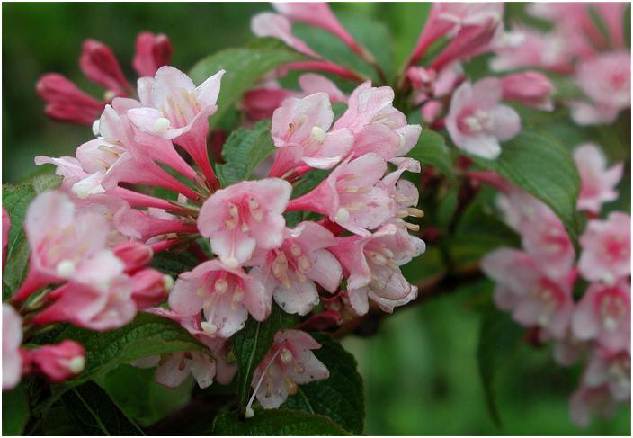 ���������߂Â��āE�E�E�E