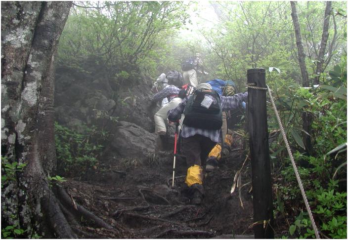 �o�R���̏��X�Ƀ��[�v�A�����E�E�E�E