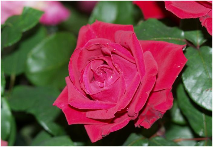 ��ւ��A�b�v�ŁE�E�E�E