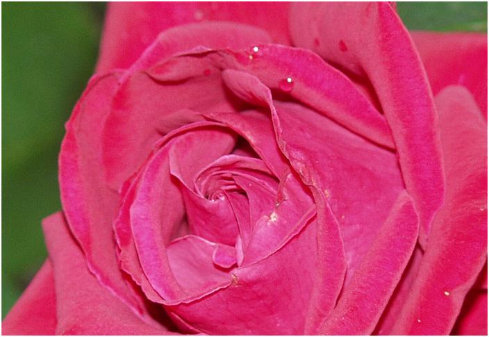 �u�t���P���� �g�N���E�h�v�̒��A�b�v�ł��B�������L��������܂����B