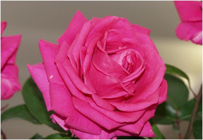 ��ւ��A�b�v�ŁE�E�E�E�I�[�Y��I(^_^)v