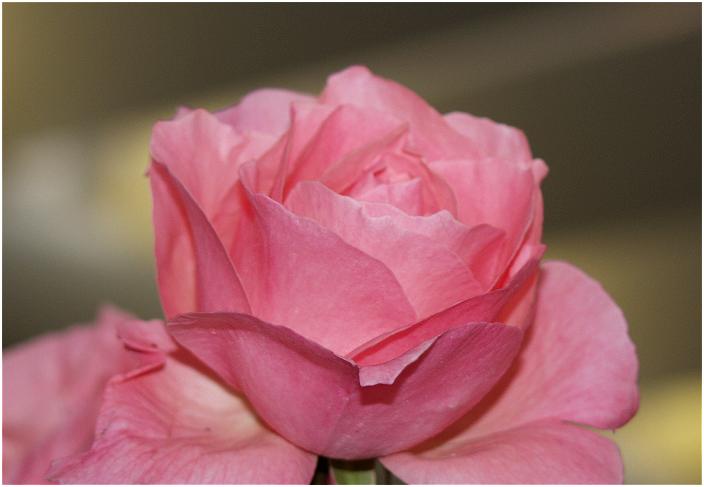 �}�N�����[�h�Ńt�@�C���_�[��`���Ă���ƒ��ڌ�������f���炵���I