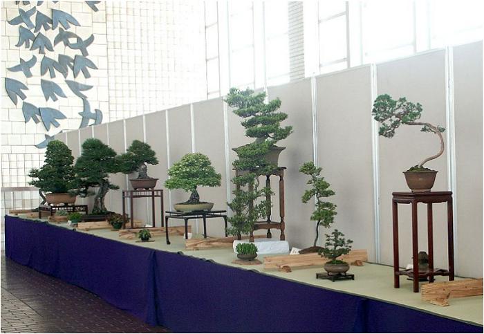 ��ꐳ�ʕt�߂���E�񗠂̒��߂ł�