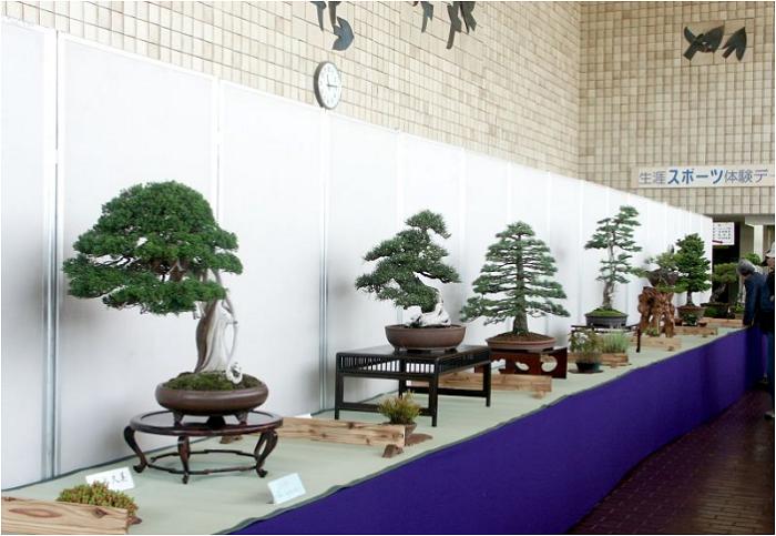 ��ꐳ�ʕt�߂���E��̒��߂ł�