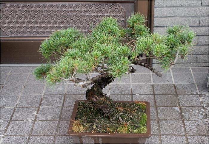 ����������قǂ̕��ł͖��������ł���!(��)