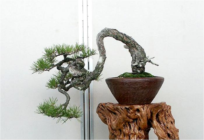 �o�W�ҁF���J��@��������