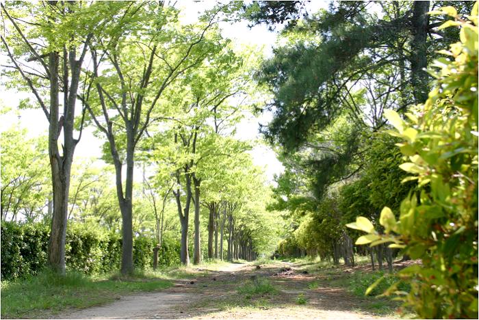 �W����B�e��ɉ��̂�������R�����ɁA�A�����ꂽ�؁X���傫���炿�X�ї����y���ނ��Ƃ��ł��܂����B�������L��������܂���