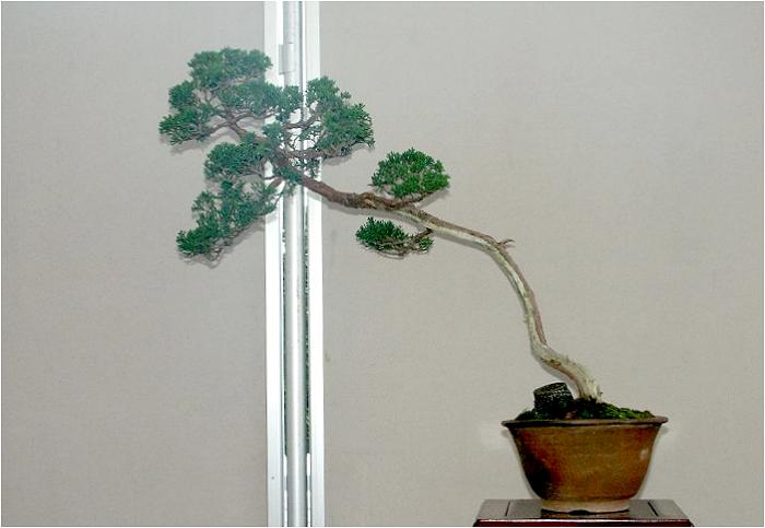 �o�W�ҁF��ρ@�[������