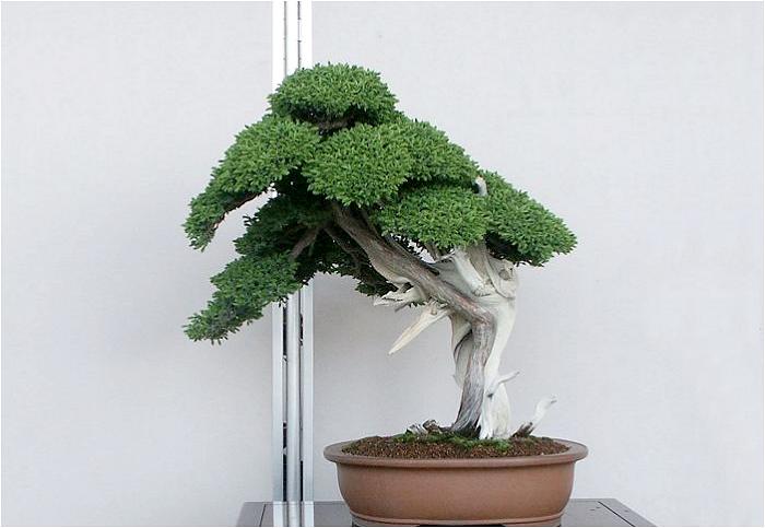 �o�W�ҁF���@�G������