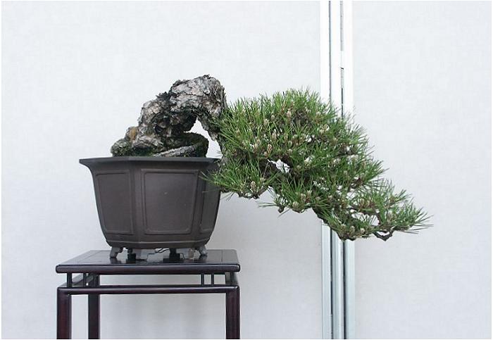 �o�W�ҁF���с@�r�a����