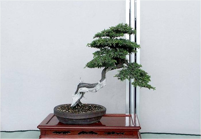 �o�W�ҁF����@�O����