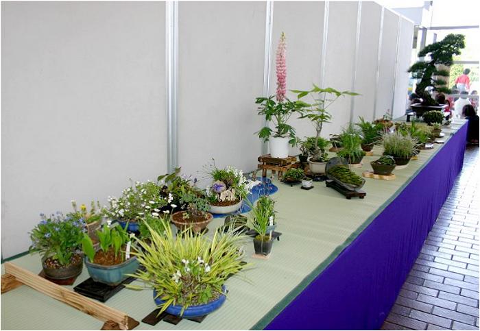 ��ꍶ�񗠂ɂ́A�R�쑐���W������Ă��܂���