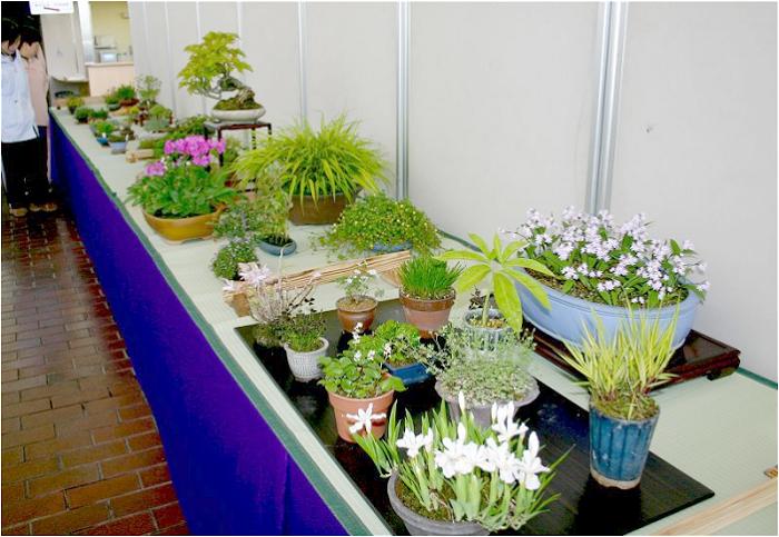 ����̊F����̖~�͑���̕Ў�Ԃ̍�i�������ł�