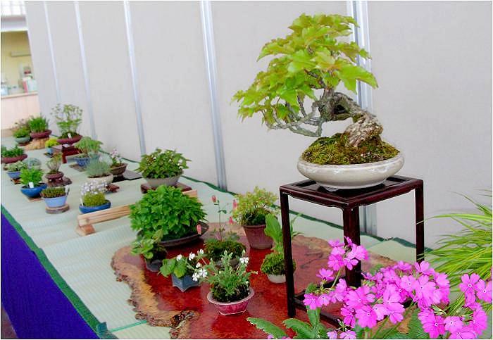 �����Ȗ~�͂Ɖ��ȎR�쑐����B�Ƃ́A��ꎞ�ԗ]��̗L�Ӌ`�Ȉꎞ�ł���(^_^)v