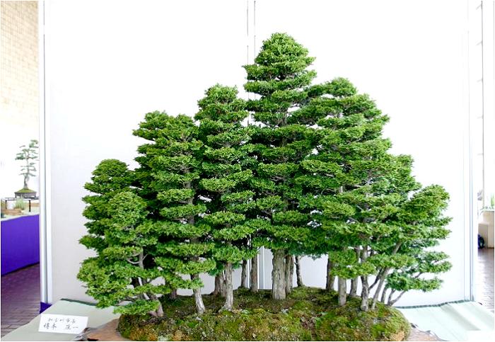 �o�W�҂͉��Ð�s���F�M�{���ꂳ��