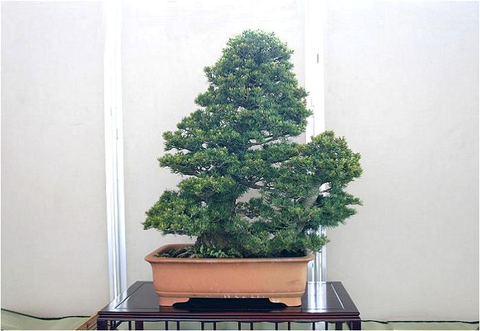 �o�W�ҁF���c�@������