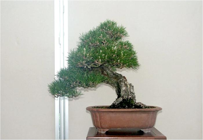 �o�W�ҁF�n�Ӂ@�i����