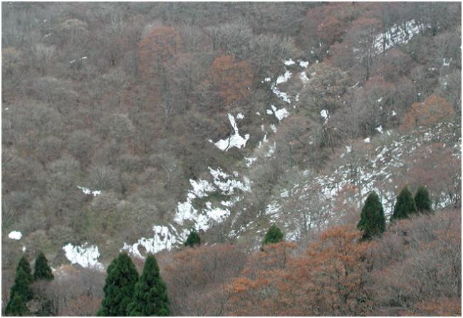 �u�i�т̒J�Ԃ̏��X�ɍ~��オ�E�E�E�E