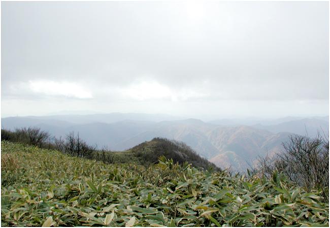 ����t�߂́A�u�i�т��I���A�F���������΂��Ă��܂����I