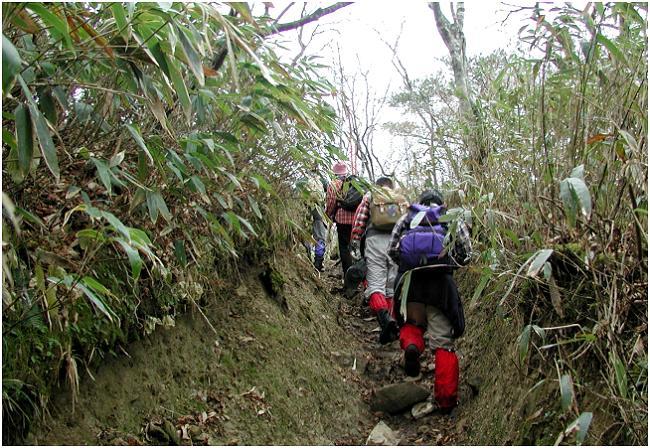 �F���������΂�Ȃ����E�E�E�E�E