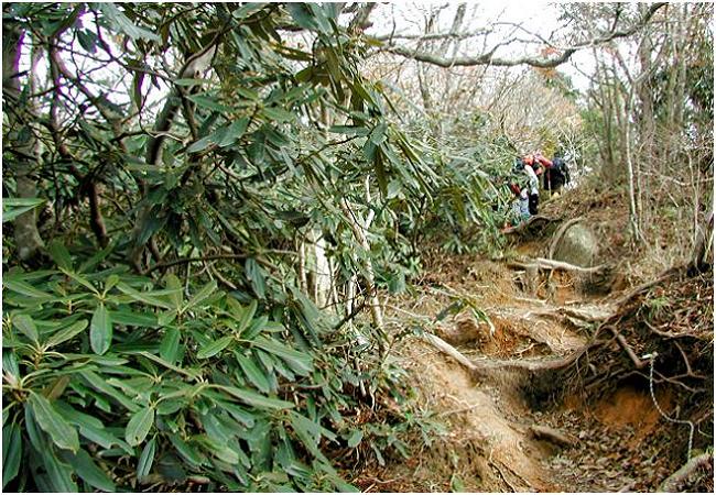 ����������R���w�Ԃ̃R�[�X�̗��e�ɂ́u�V���N�i�Q�v�т��E�E�E�E�Ԋ��Ŗ����̂��c�O�I