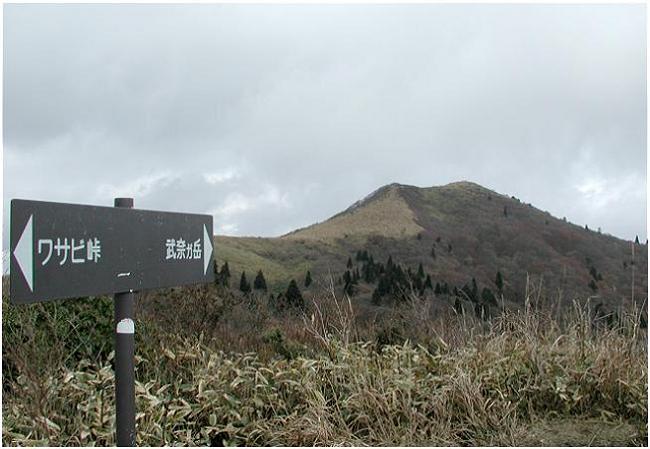 ���R�R�[�X���畐�ރ��x��]�ށI