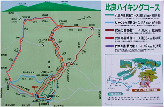 �Ԑ��̃R�[�X������܂����B