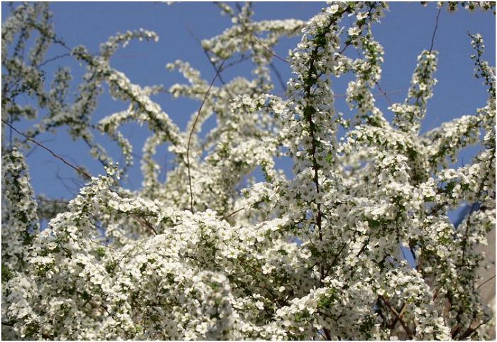 ����̗����I(^_^)v