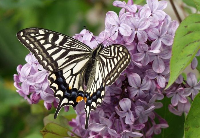 ���̎ʐ^���B��̂ɂR�O���͂�����܂����I(��)