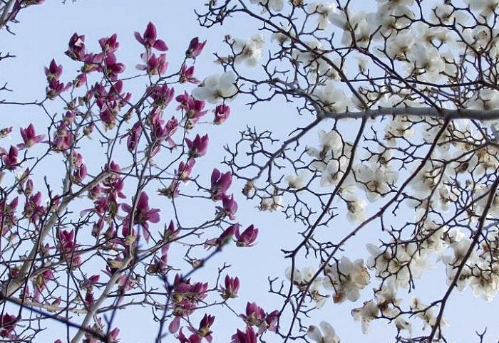 ��Ƀ����Y��������Ǝ��A���̃��N�������Y��Ȗ͗l�ɁE�E�E�E�E