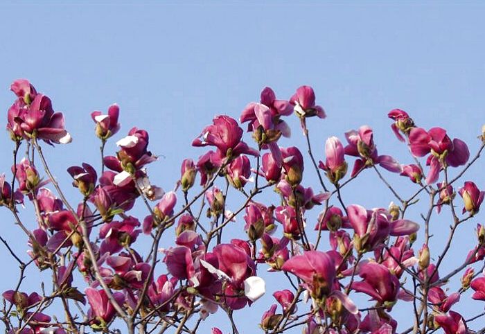 ���Ȃ��݂̎��̃��N������������ɁE�E�E�E�E