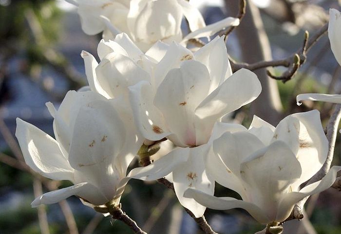 �������󂯂ē����ʂ銴�����Y��ł����ˁI