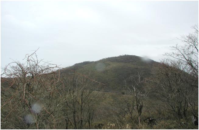 �V���ւ̃J���X�g��n��U������΁A�����x�i1.140m�j�̒��オ�ڑO�ɁE�E�E�E