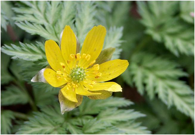 �t��́A���|��̃C���[�W�Ƃ̓`���b�g������������󂯂܂����I