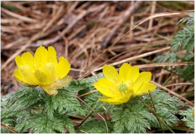 �����R���i�����j�t�߂Ō��������J�ɂ������ւł��I