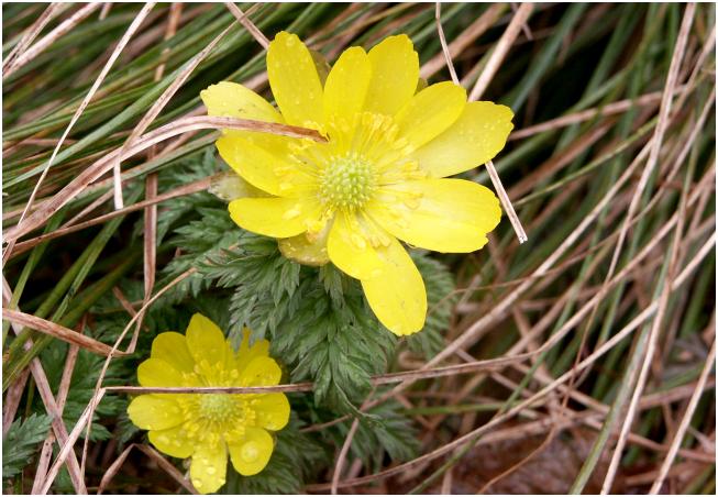 �}�N���ŁE�E�E�E