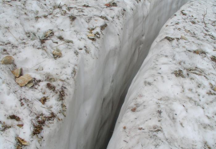 �����ɃN���o�X�т��E�E�E�E�E���T�O�Z���`�ʂŒ�͌����Ȃ����炢�[�����ł��I������Ύ��͂ł͔����オ��Ȃ��ł��傤�ˁI