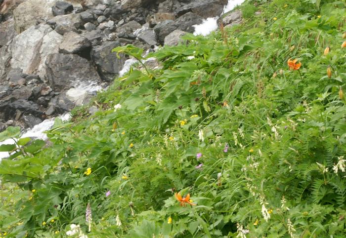 �K����̂Ƃ��뉽���ɁA���Ԕ����E�E�E�A����������܂��ˁI(^_^)v