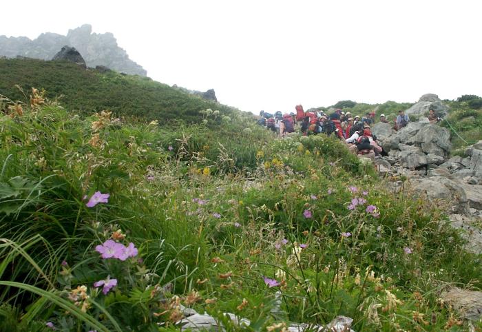 �}�ȋ삯�オ���ꂽ�̂ŊF����A���x�e�I