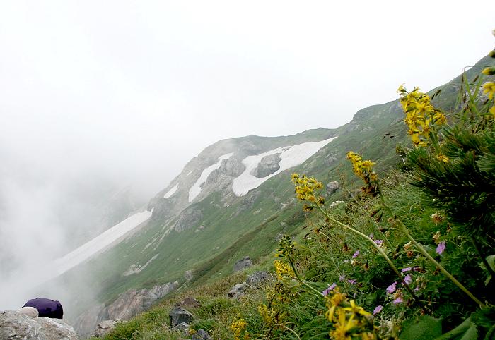 �ڐ����グ��΁A��k�𒸂������n�̗Ő����E�E�E�E�E
