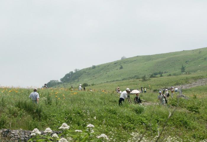 ���ԏ�ߕӂ̍����ɂ́A�j�b�R�E�L�X�Q�̑�Q���I�O�r���Q�̑����̃J�����}�����E�E�E�E